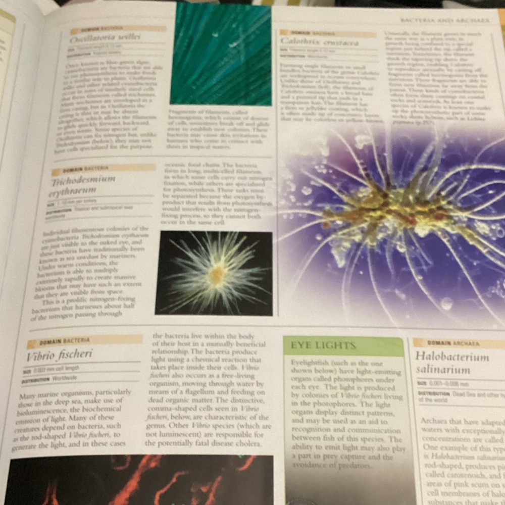 Ocean: The World's Last Wilderness Revealed Book - Picture 10 of 10